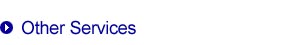 Other Services Title