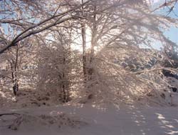 New Mexico Snow 3