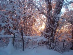New Mexico Snow 4