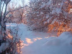 New Mexico Snow 5