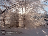 December Morning - Taos, New Mexico