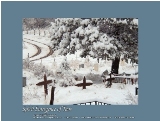 Homeward Bound - Taos, New Mexico