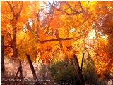 Sacred Autumn - Taos, New Mexico