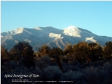 Spring Emerging - Taos, New Mexico