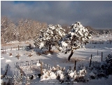 Taos Morning Reflections - Taos, New Mexico